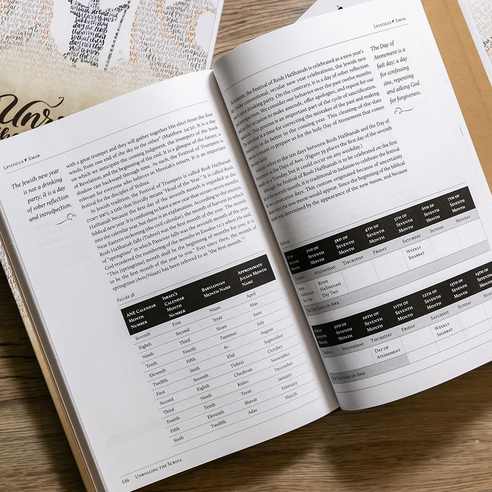 Torah Club: Unrolling the Scroll, Commentary Set + Audio Magazine - Image 3